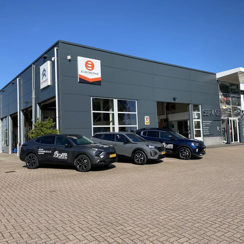 Wielerronde Hemelvaartsdag